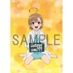 Blankets>A Certain Scientific Accelerator Last Order Life-Size Blanket
