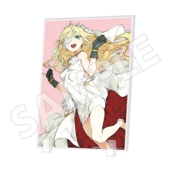 A Certain Magical Index 20th Anniversary Special Acrylic Plate Outlet
