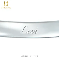 Attack on Titan Levi Solitaire Ring Hot