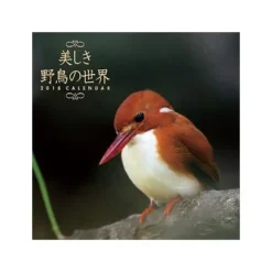 Beutiful Wild Bird World 2018 Calendar Clearance