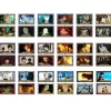Postcards>Bungo Stray Dogs Postcard Set