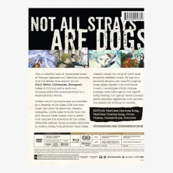 Bungo Stray Dogs Season 1 Limited Edition Blu-ray/DVD Combo Pack Discount
