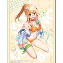 Cards>Bushiroad Sleeve Collection High-Grade Vol. 4791 Kadokawa Sneaker Bunko KonoSuba: God's Blessing on This Wonderful World! Darkness Swimwear Ver.