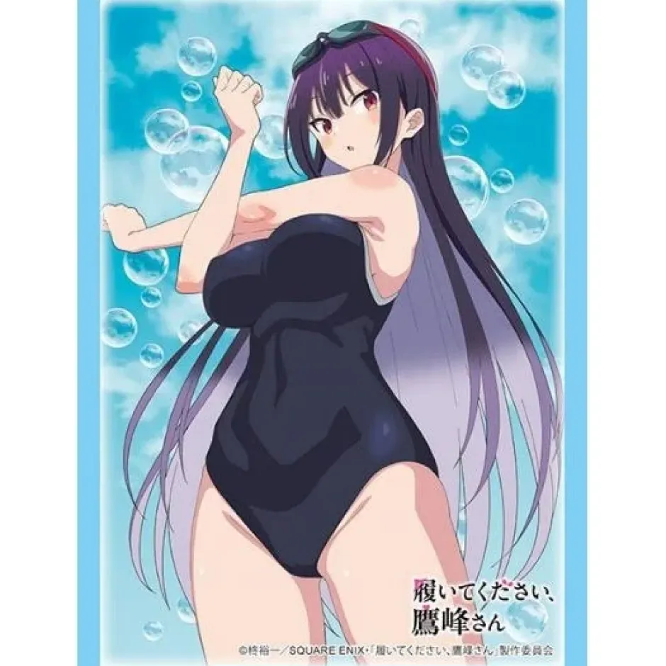 Cards>Bushiroad Sleeve Collection High-Grade Vol. 4838 Please Put Them On, Takamine-san Takane Takamine: Swimsuit Ver.
