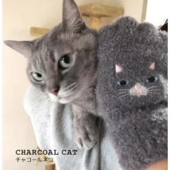 Cat Lucky Bag 2 Clearance