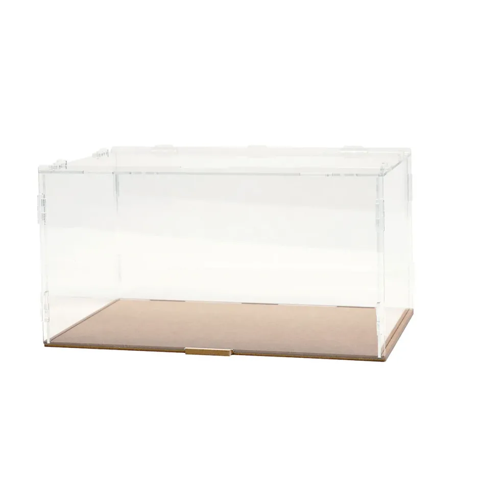Collection Case L Series: Ultimate UV Ver. Sale