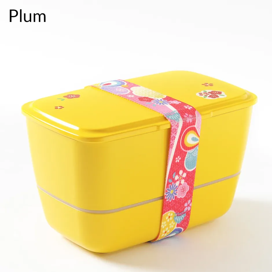 Bento Containers>Cool Bento 2-Tier Box