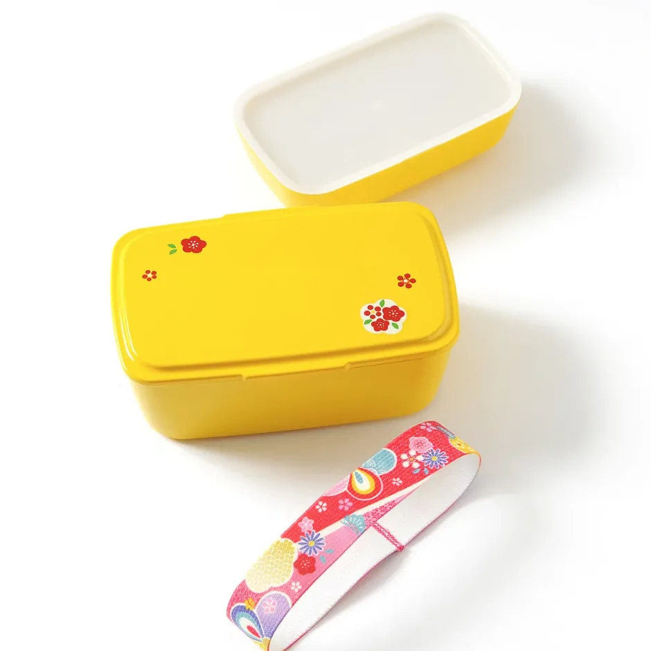 Bento Containers>Cool Bento 2-Tier Box