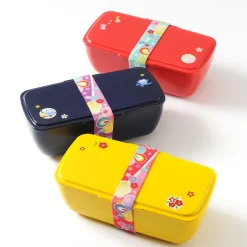 Bento Containers>Cool Bento Lunch Box
