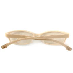 Danboard Computer Glasses New