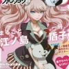 Anime & Manga Magazines>Danganronpa Special Fan Book