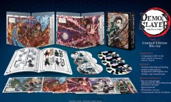 Demon Slayer: Kimetsu no Yaiba Limited Edition Blu-ray Vol. 2 Clearance