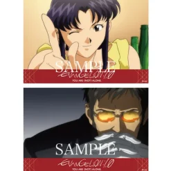 Postcards><noscript><img width=