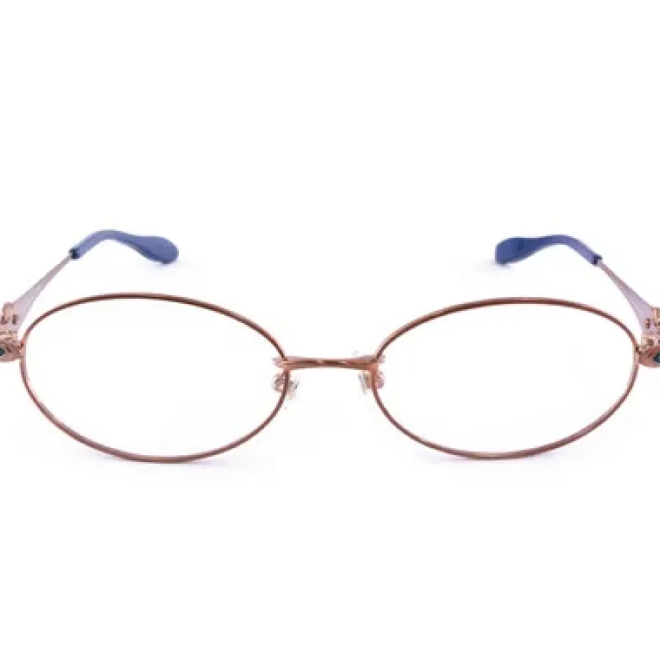 Eyewear>Fate/Grand Order Leonardo da Vinci Model Glasses (Clear Lenses)