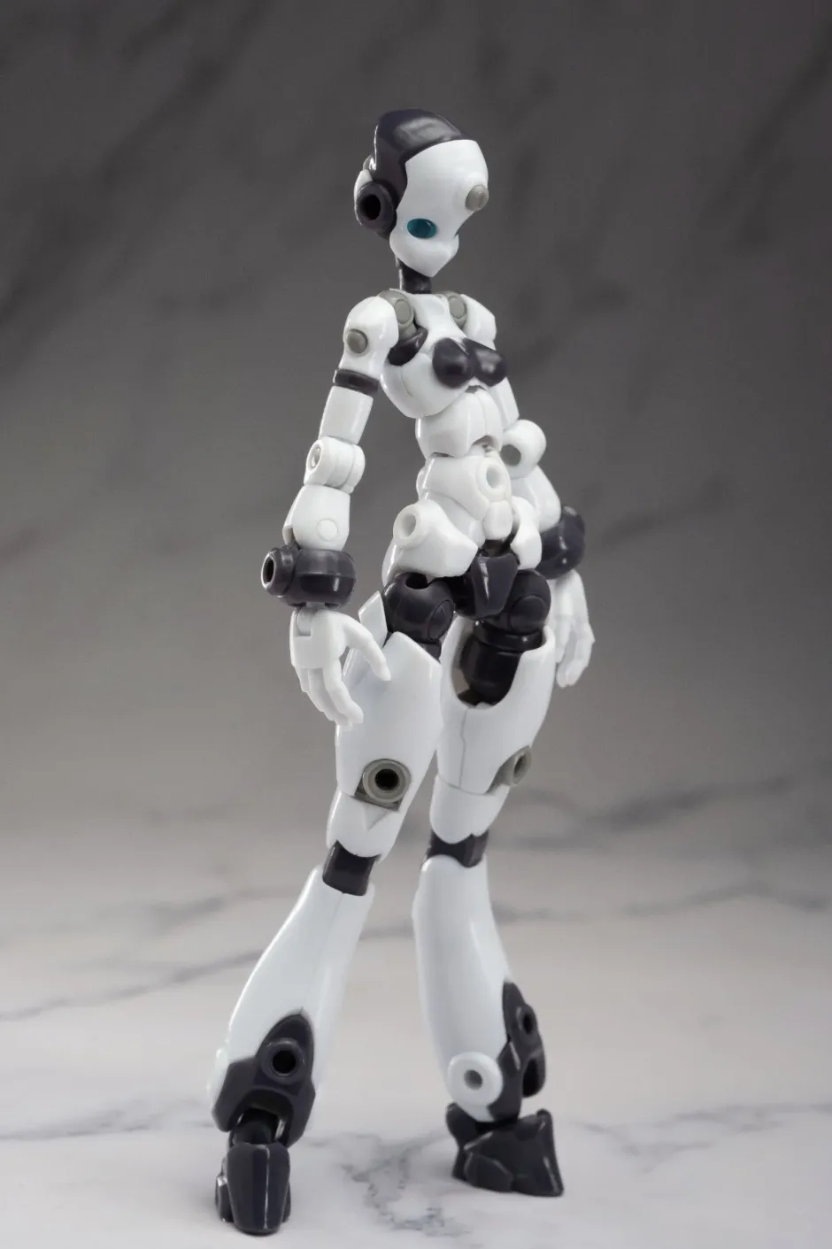 Plastic Models>Gene Interference Series QK-ST-001 1/12 Scale Plastic Model Kit