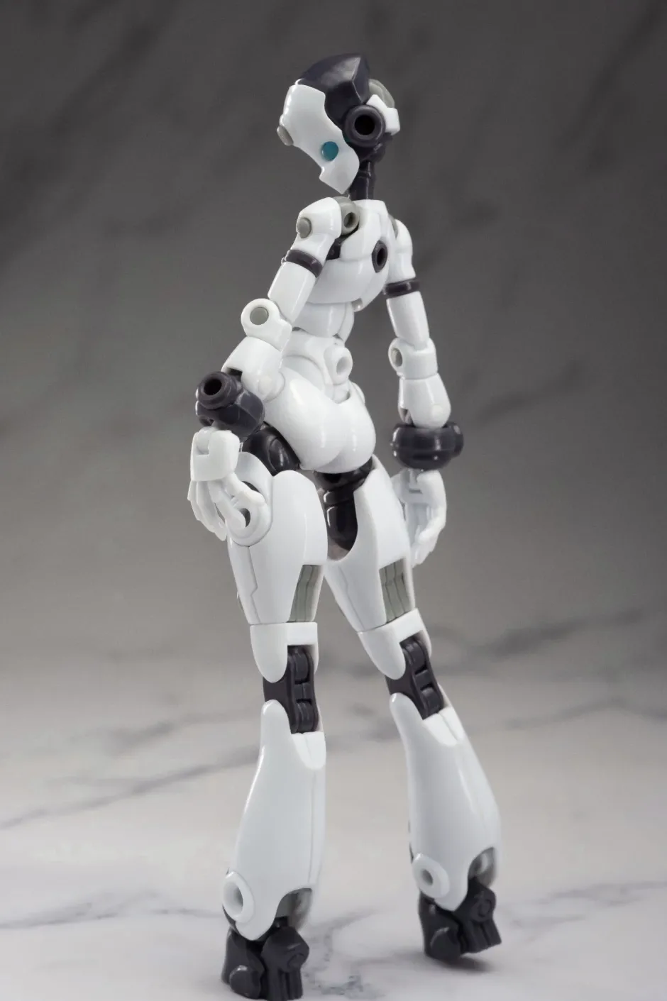 Plastic Models>Gene Interference Series QK-ST-001 1/12 Scale Plastic Model Kit