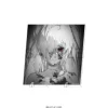 Goddess of Victory: Nikke Acrylic Board Cinderella New