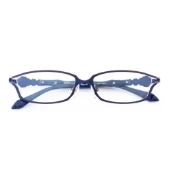 Eyewear><noscript><img width=