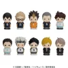 Haikyu!! Puppe-Mas!! Puppet Mascot B Box Set New