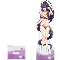Other Goods>High School DxD Hero Extra Large Acrylic Stand Akeno Himejima