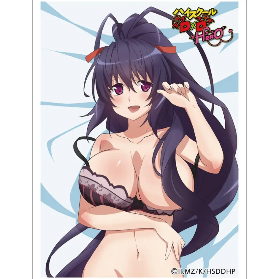 Cards>High School DxD Hero Sleeve Akeno Himejima