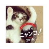 Himekuri Nyanko! Cat Photo 2018 Desktop Daily Calendar Clearance