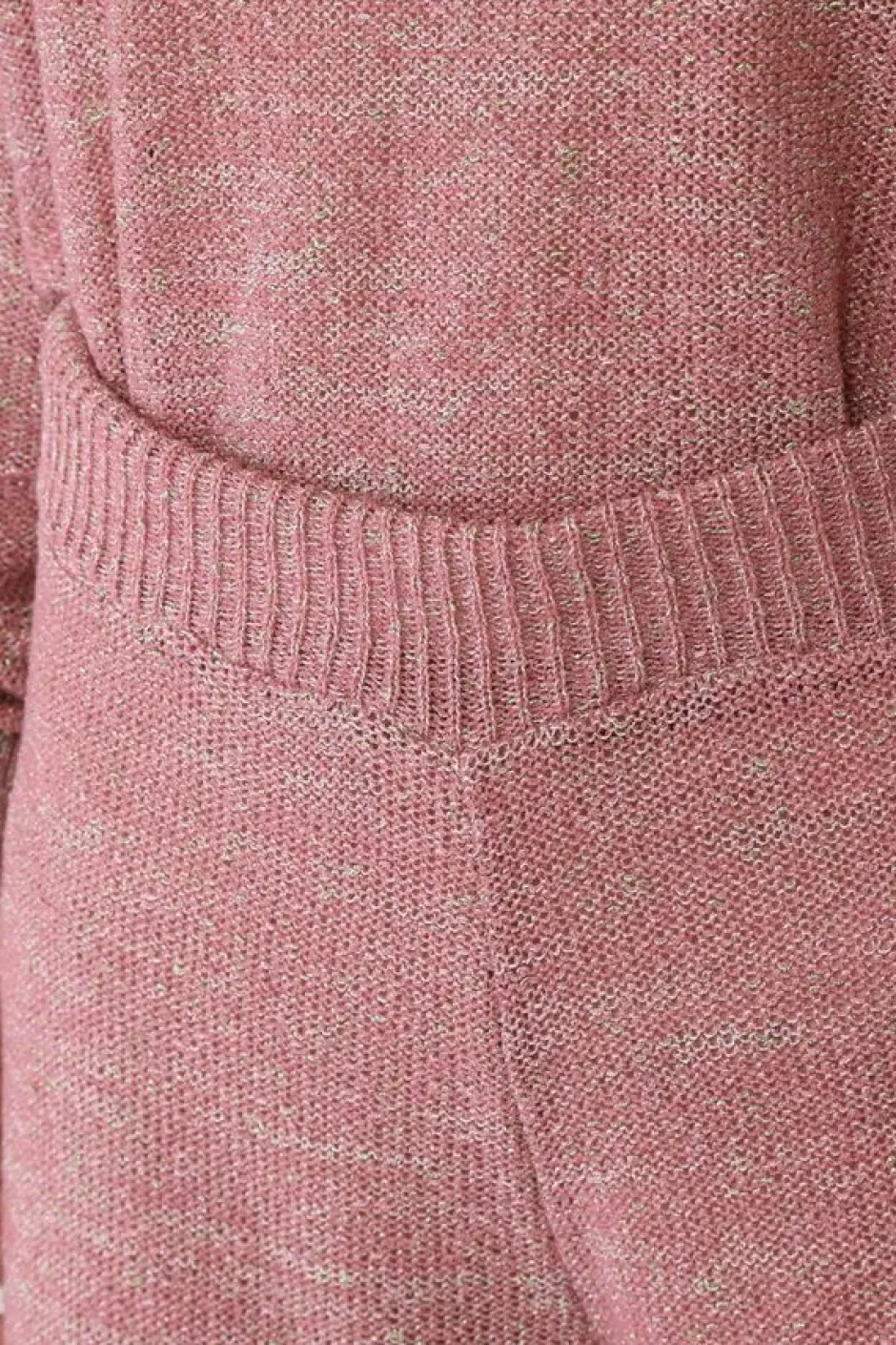 Bottoms>Honey Salon Lamé Knit Shorts