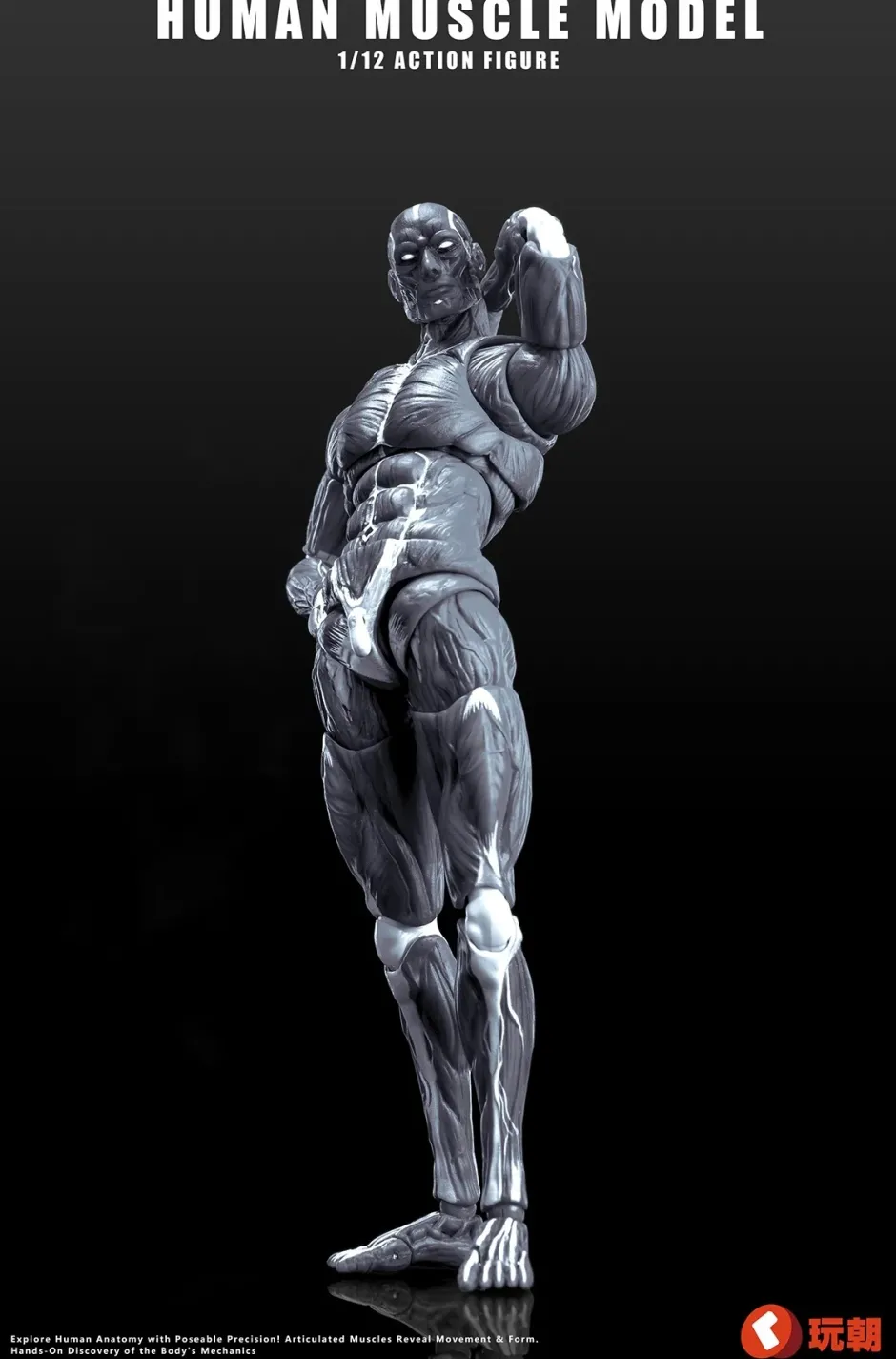 Human Muscle Model (Gray) 1/12 Scale Action Figure Outlet