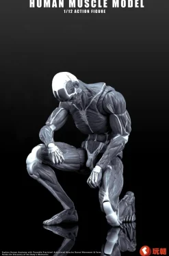 Human Muscle Model (Gray) 1/12 Scale Action Figure Outlet
