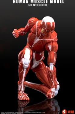 Action Figures><noscript><img width=