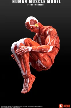 Action Figures><noscript><img width=