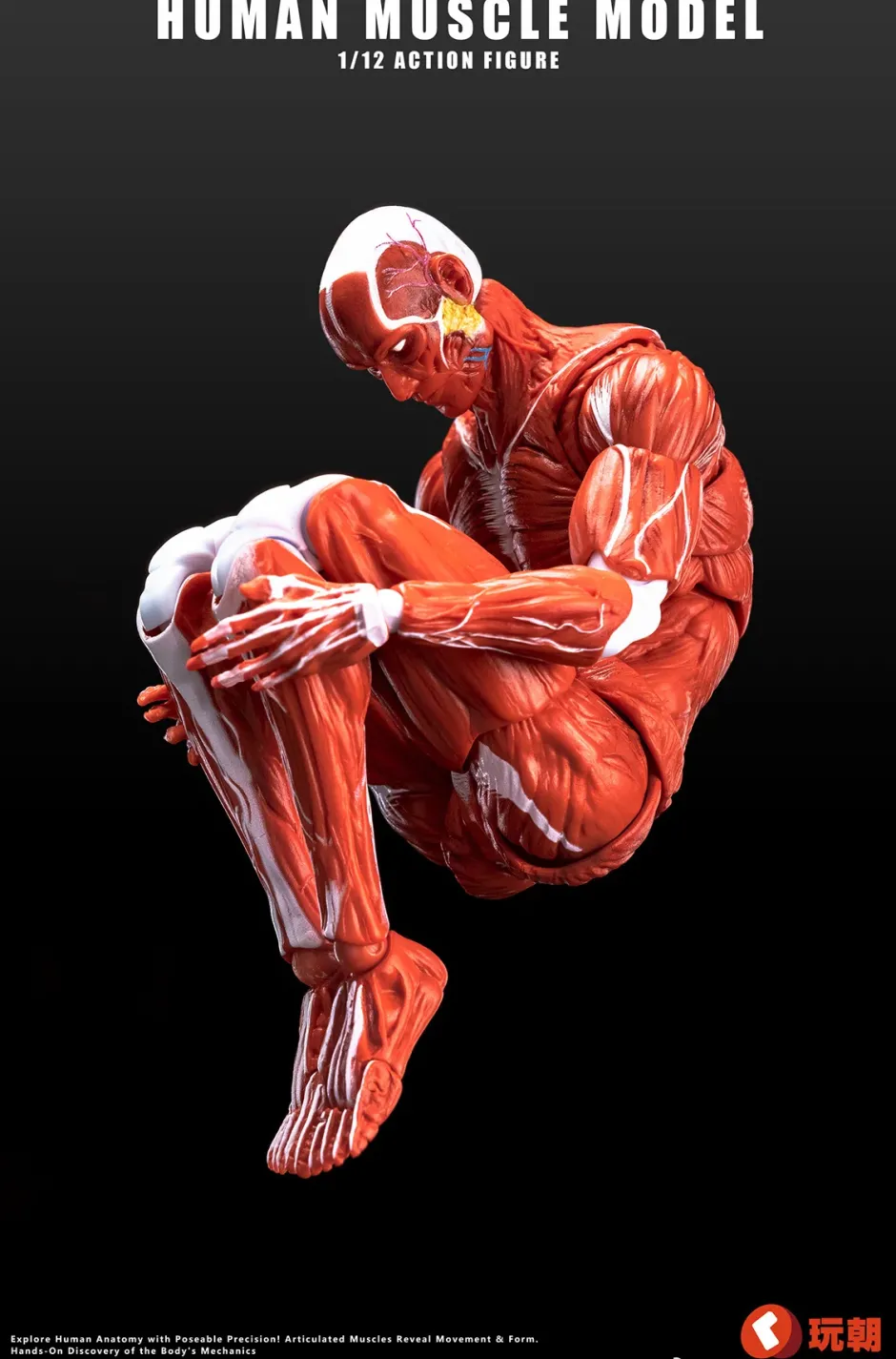 Action Figures>Human Muscle Model (Red) 1/12 Scale Action Figure