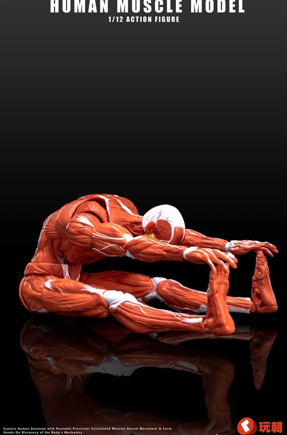 Action Figures>Human Muscle Model (Red) 1/12 Scale Action Figure