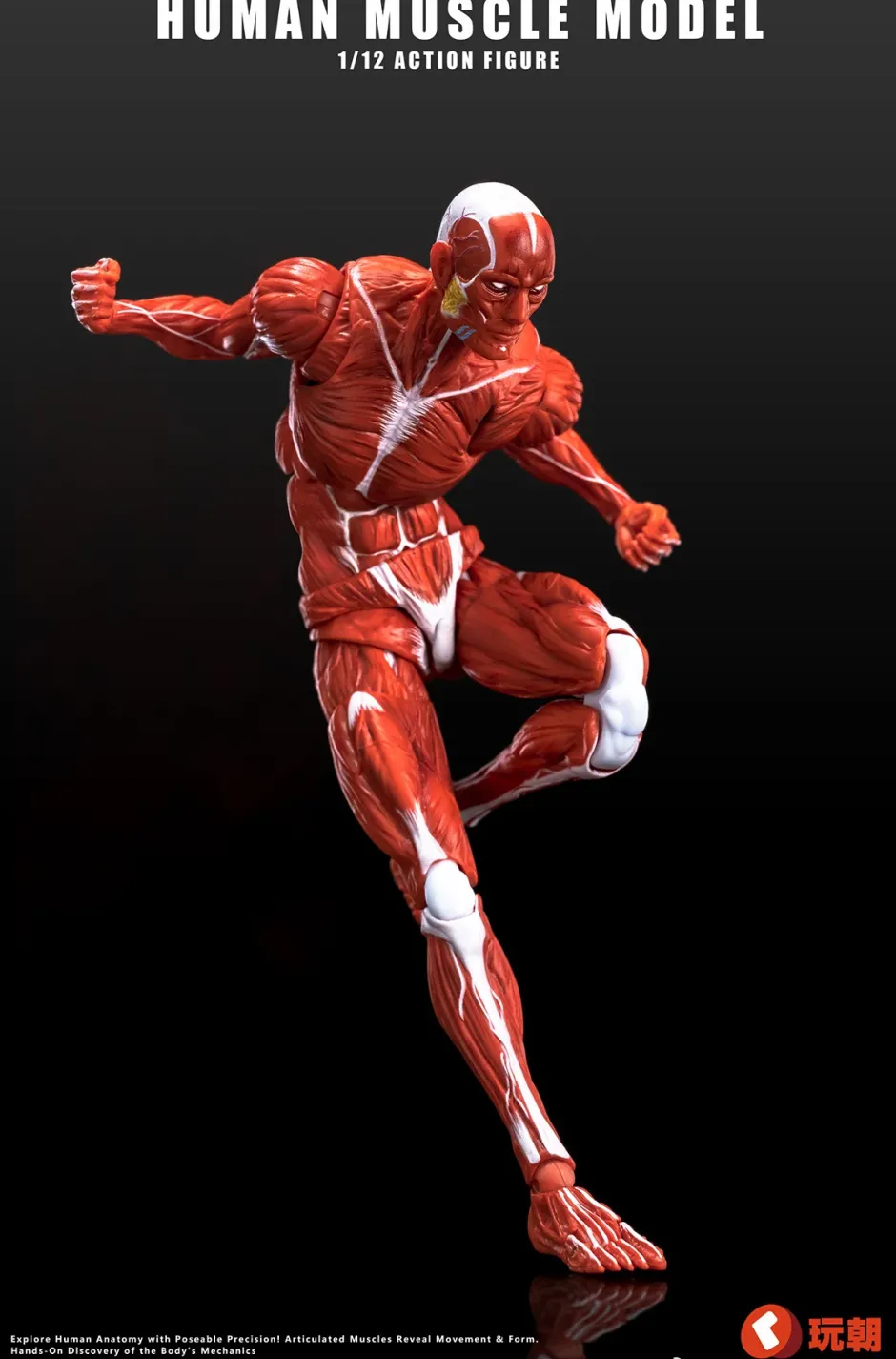 Action Figures>Human Muscle Model (Red) 1/12 Scale Action Figure