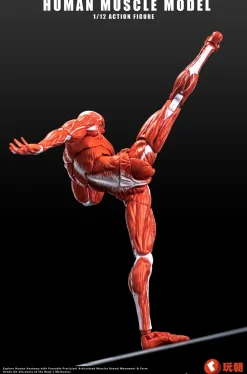 Action Figures><noscript><img width=