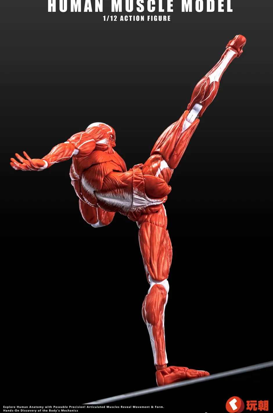 Action Figures>Human Muscle Model (Red) 1/12 Scale Action Figure