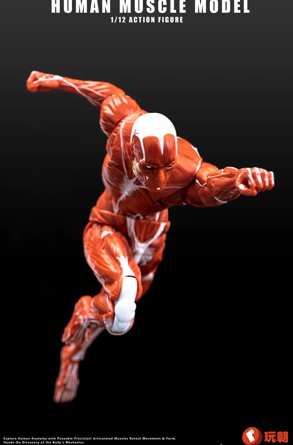Action Figures>Human Muscle Model (Red) 1/12 Scale Action Figure