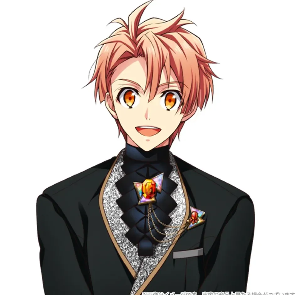 Other Accessories>IDOLiSH7 5th Anniversary Event /BEGINNING NEXT Brooch Collection Vol. 1