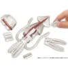 Kaitai Puzzle Squid Puzzle Clearance