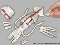 Kaitai Puzzle Squid Puzzle Clearance