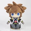 Medium Plushies>Kingdom Hearts II Sora Plushie (Re-run)