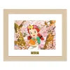 Konnichiwa Anne: Before Green Gables Chara Fine Graph Print Discount