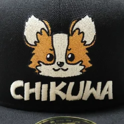 Hats & Caps><noscript><img width=