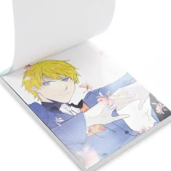 Landreaall Postcard Book New