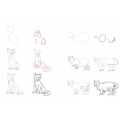 Learn How to Draw Fast Step by Step! How to Draw 100 Animals Discount