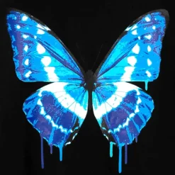 LISTEN FLAVOR Black Cypris Morpho Zip Hoodie Sale