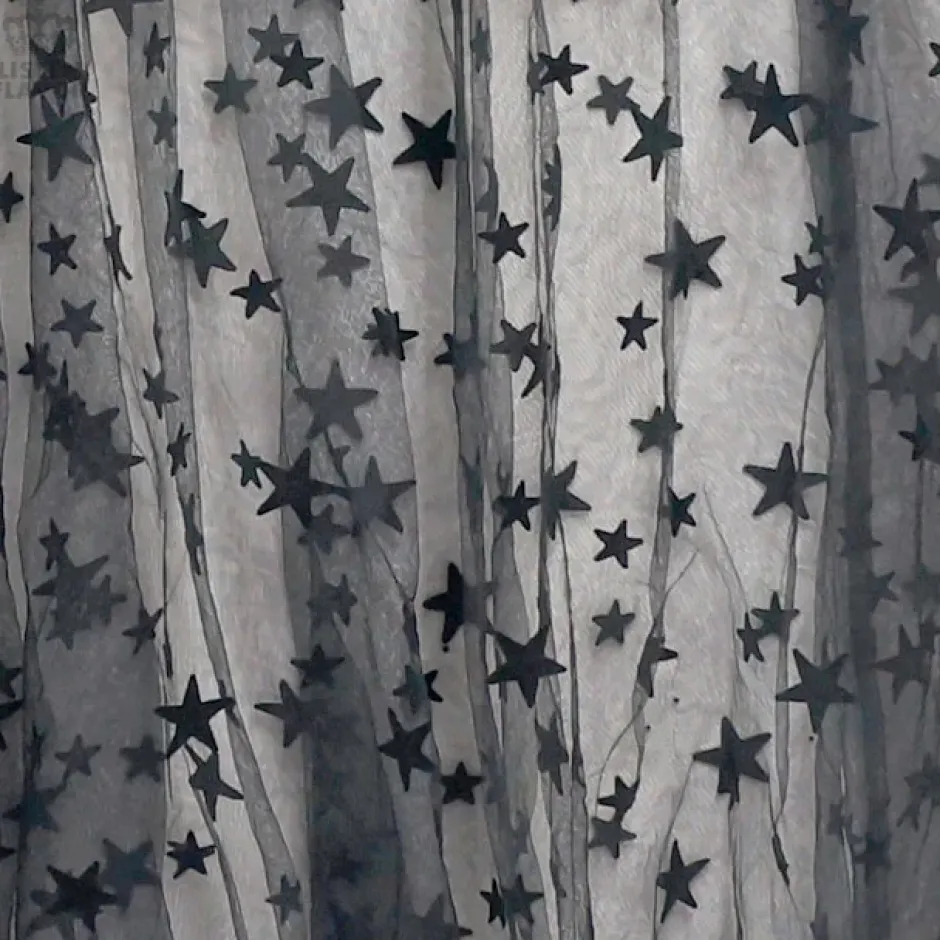 LISTEN FLAVOR Star Tulle Layered Skirt Hot