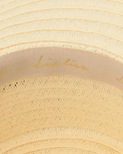 Hats & Caps><noscript><img width=