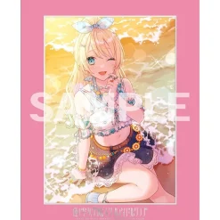 Love Live! Hasu no Sora Jogakuin School Idol Club Foil-stamped 104th Class Memorial Chara Fine Mat Ver.Connect Girls Discount