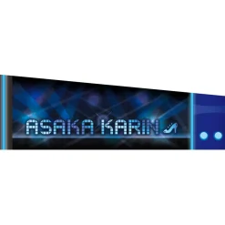 Love Live! Nijigasaki High School Idol Club 3rd Live! School Idol Festival ~Beginning of Our Dream~ Karin Asaka Arm Covers New